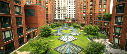 green roof nyc